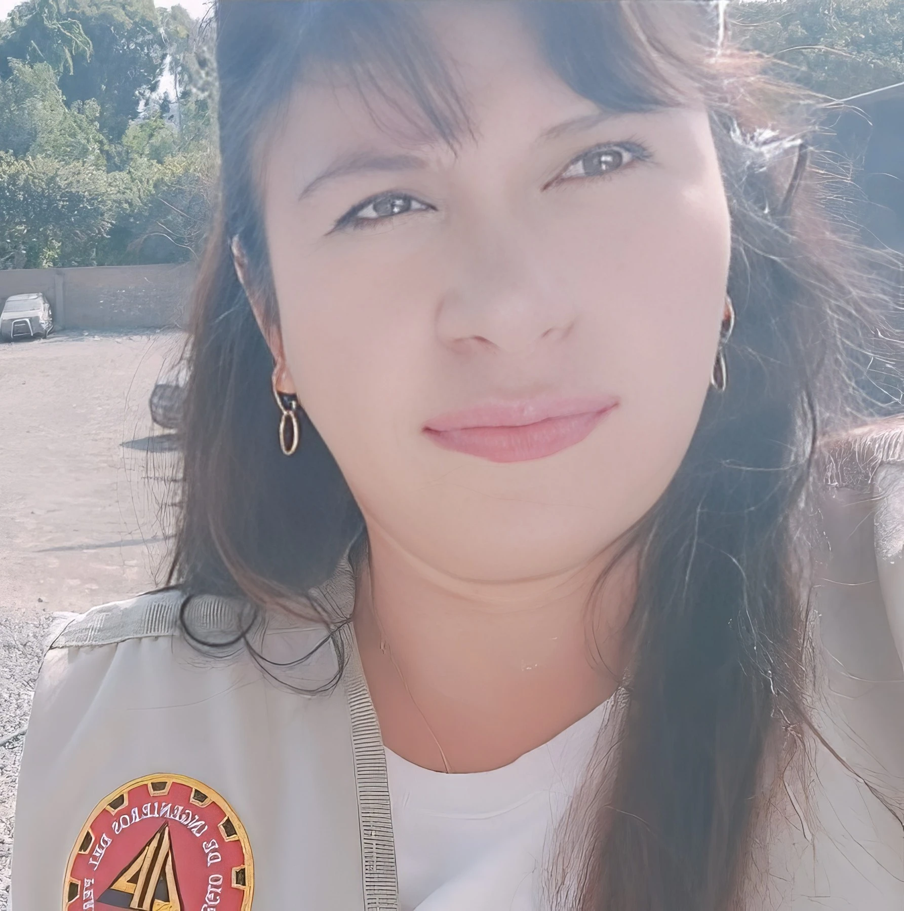 Foto de Romiris Pérez Contreras, Perito Tasador CIP Nº 64715